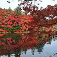 浸泡在露天溫泉，觀賞著遍山紅葉