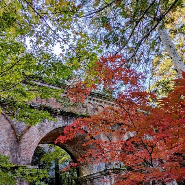 【京都紅葉】見頃を迎えた京都の紅葉 南禅寺