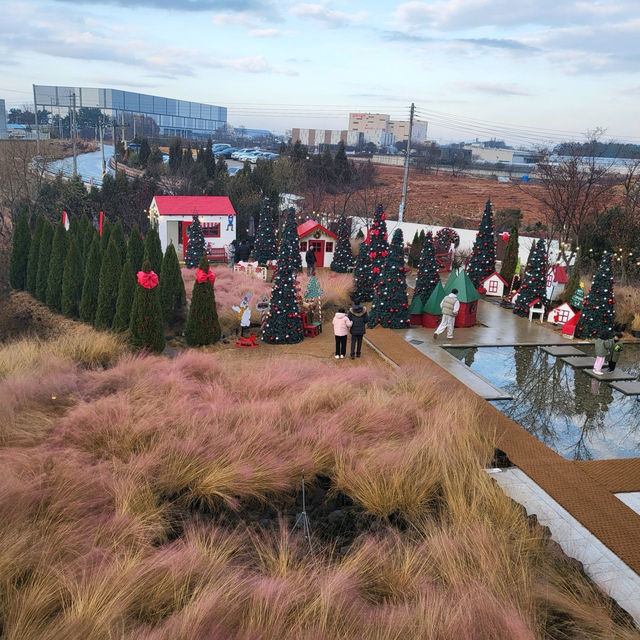 😋🤍전주 근교 대형카페 오늘 여기