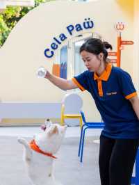 CELA PAW PREMIUM