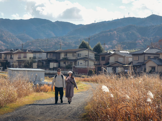 龜岡市 郊遊好去處