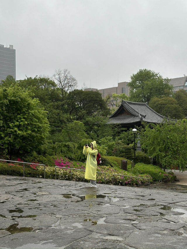 Discover Serenity at Zojoji Temple in Tokyo