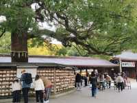 Embrace the Sacred Calm of Meiji Jingu