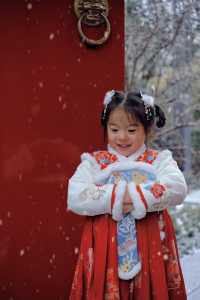 合肥又下雪了！園博園拍古風雪景照超有感！附攻略