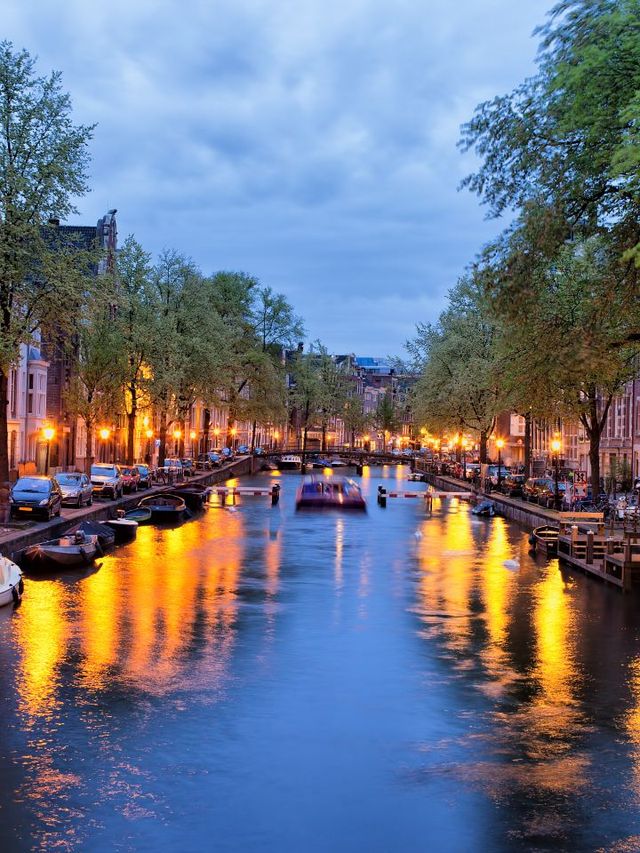 🌷✨ Unmissable Amsterdam: Culture, Canals & History! ✨🌷