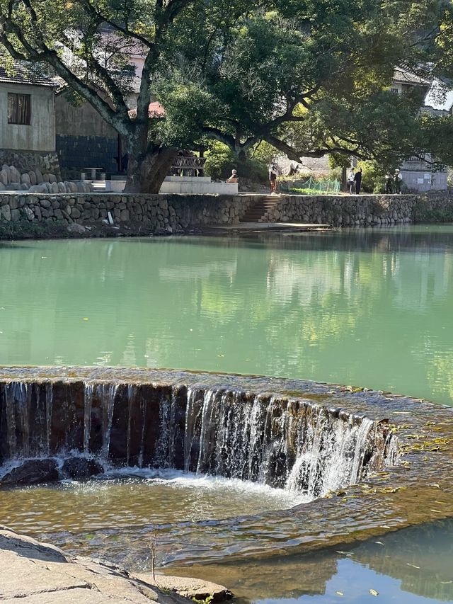 余姚中村景區｜登高賞秋