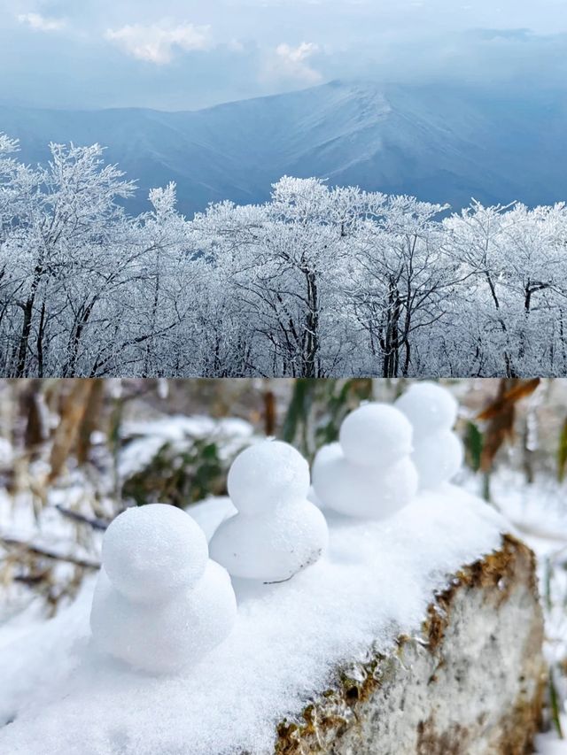 龍王山|我身體的每個朝向都是遠方