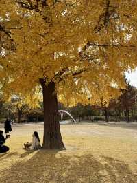 悠遊自然與城市之間