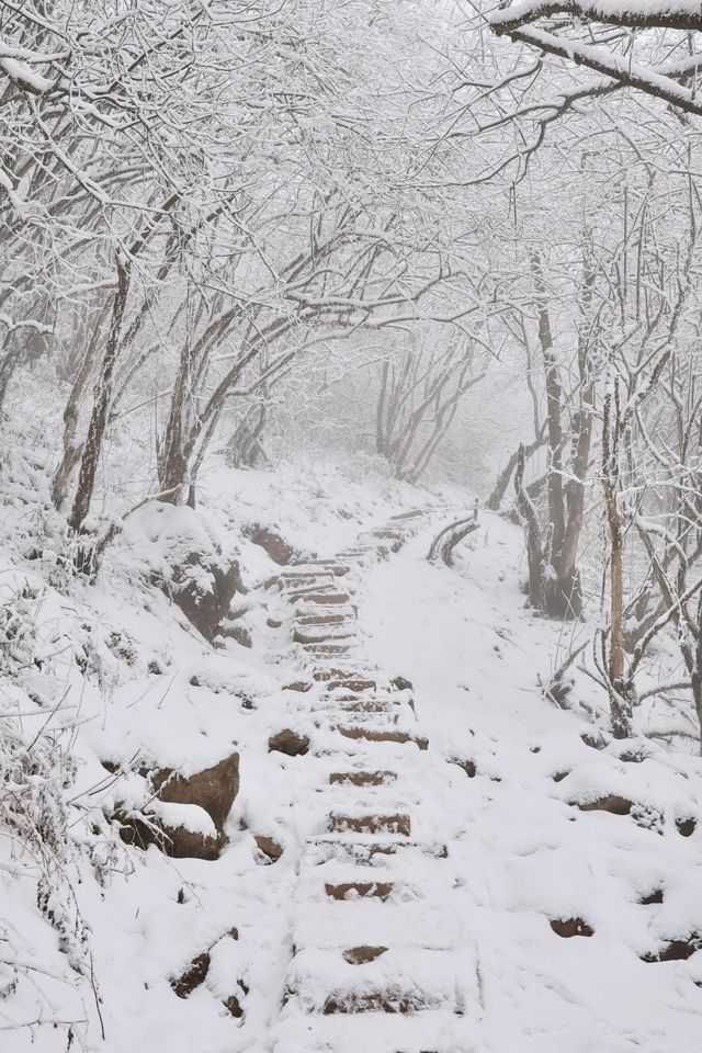 成都出發1.5小時免費觀賞超美霧凇雪景