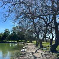 賽城湖濱公園：湖光山色