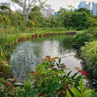 Discovering Urban Oasis in Jurong Lake Gardens