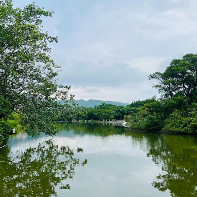 高雄市立美術館：藝術愛好者的天堂