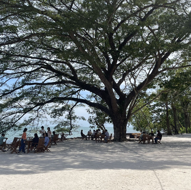 ค่าเฟ่แห่งใหม่ สไตล์บาหลี BAMBU BEACH CLUB ระยอง