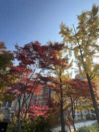 Autumn Foliage at Ewah University 