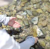 【長野・上高地】美しい自然を感じられる初心者おすすめハイキングスポット