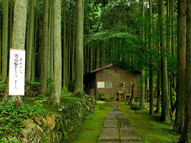 【愛媛県】苔むす絶景カフェの癒し空間「苔むしろ」