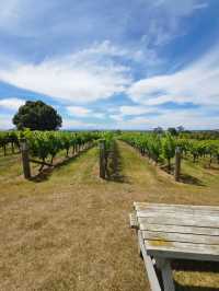 A Hidden Gem in Hawke’s Bay: Black Barn Vineyards