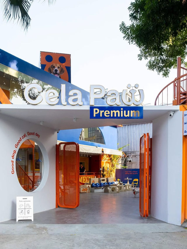 CELA PAW PREMIUM