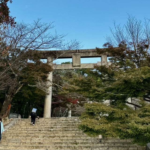 Slow life in Yanagawa and old town charm in Dazaifu