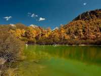 Best Autumn Viewing Experience 2/3 [Xiannairi Snow Mountain, Yading Nature Reserve]