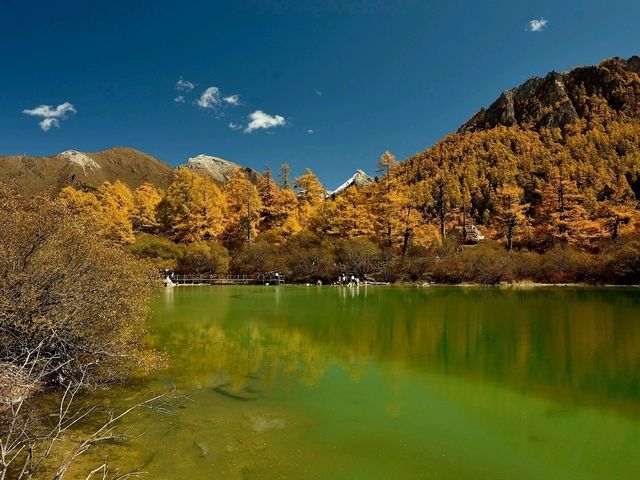 Best Autumn Viewing Experience 2/3 [Xiannairi Snow Mountain, Yading Nature Reserve]