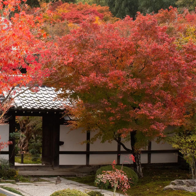 萬行寺🎡沉浸日本庭院之美！🍂