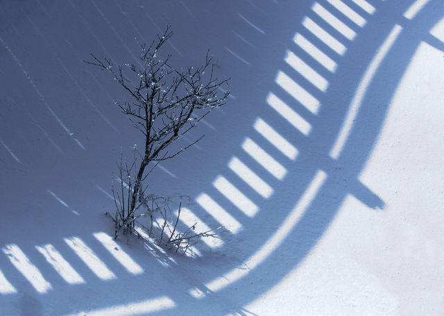 神農架霧凇枝頭醉遊人，邂逅你的冰雪奇緣