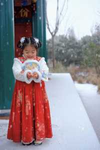 合肥又下雪了！園博園拍古風雪景照超有感！附攻略