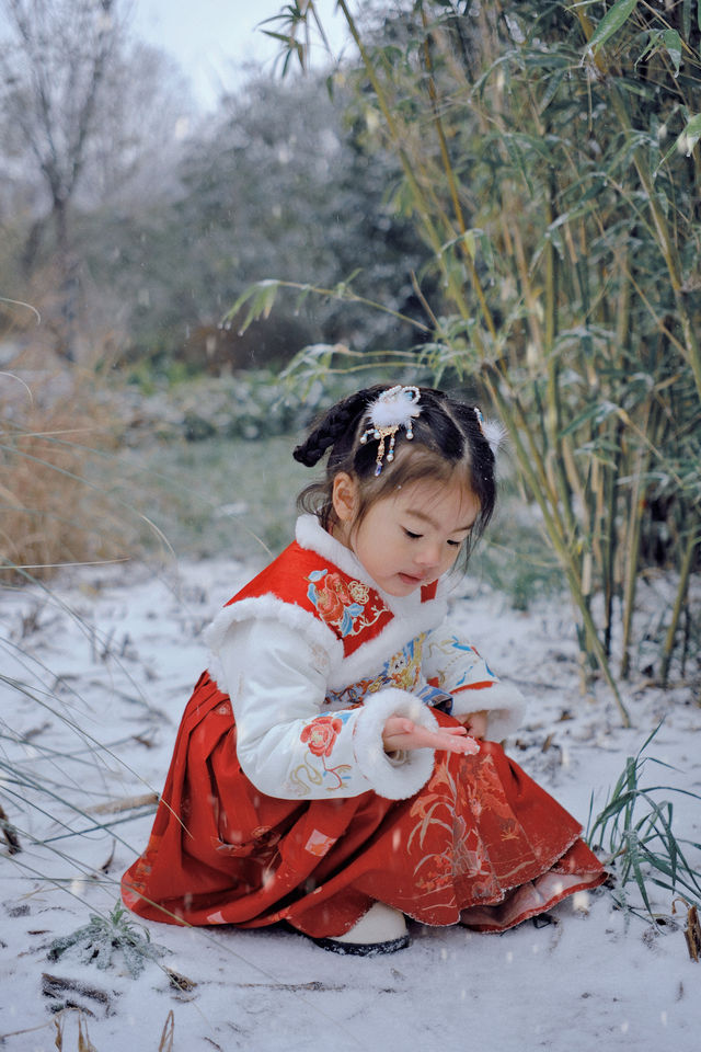 合肥又下雪了！園博園拍古風雪景照超有感！附攻略