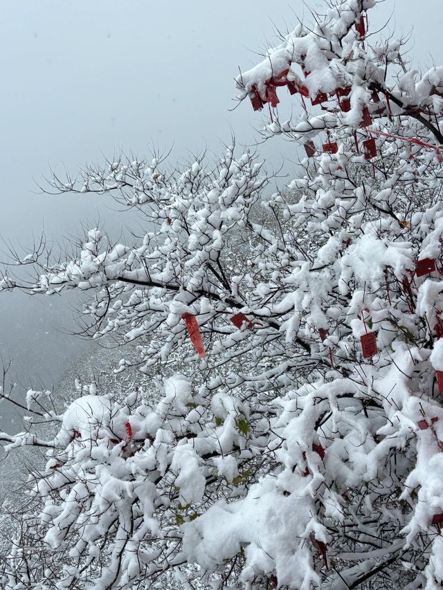 西安南五台|賞一場秦嶺初雪。