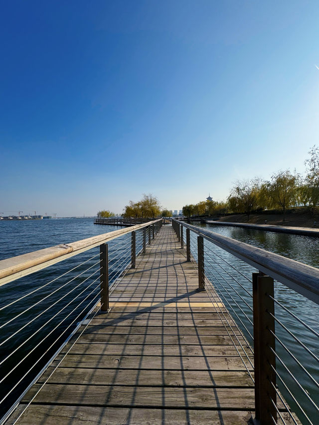 少海濕地公園！太適合周末遛娃啦