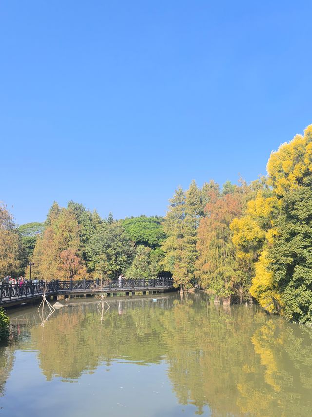 冬至安康！海珠湖邊走一走