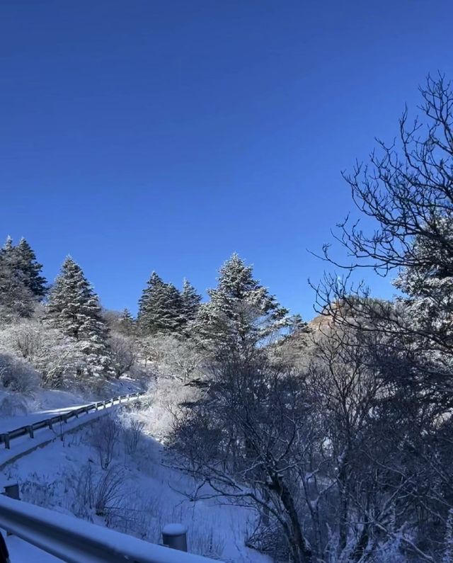 神農架的冰雪奇緣，夢幻之旅等你來！