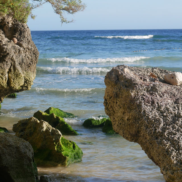 Bohol: Nature’s Paradise in the Philippines