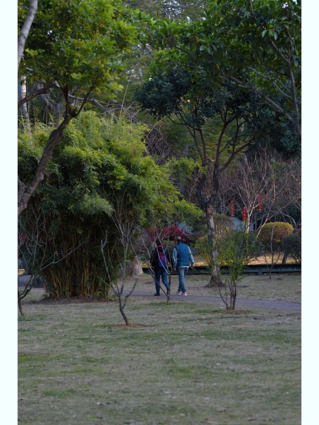 遛娃好去處｜忠倫公園散步的愜意時光！！