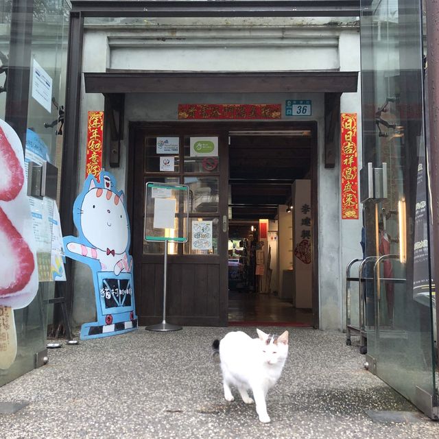 Cat Village - Houtong near Taipei 🐈 🐱 🐈‍⬛