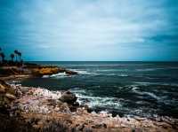 Seal and Sea Lion Encounters in La Jolla