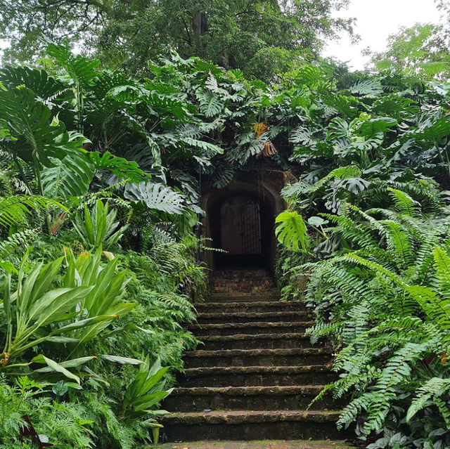 Very Beautiful Garden at Fort Canning Park in Singapore