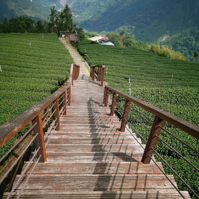 梅山 龍仔尾步道