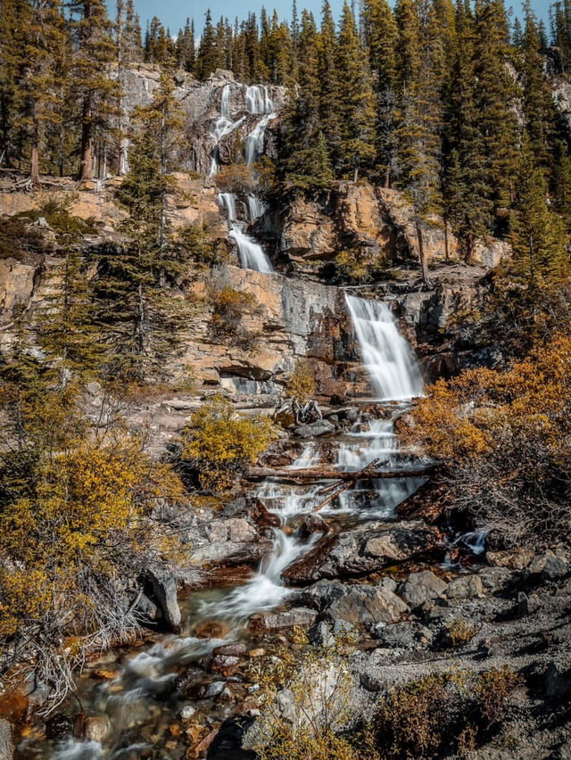 Why You Need to Visit Jasper National Park This Weekend and See the Waterfalls