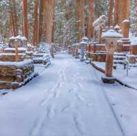 Koyasan #โคยะซัง 高野山 หน้าหนาว