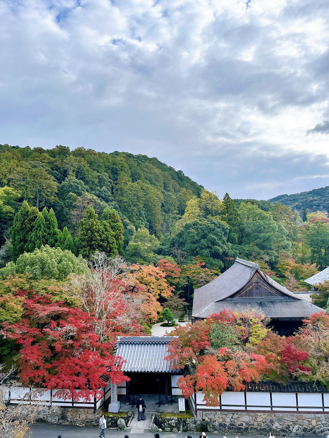 【京都　南禅寺】和と洋の雰囲気を一気に味わえる！