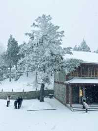 廬山雪景|這個冬天我們一起相約廬山看雪景