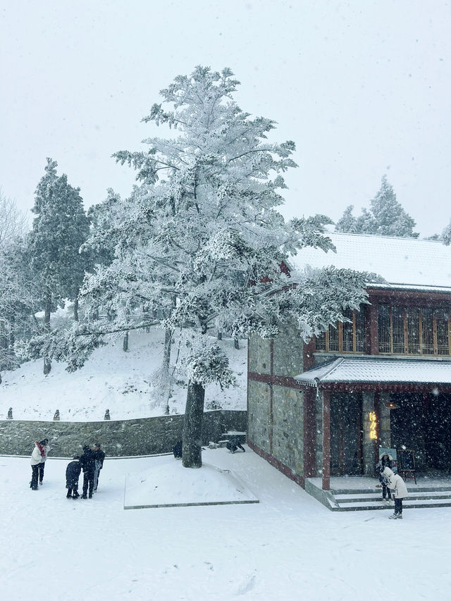 廬山雪景|這個冬天我們一起相約廬山看雪景