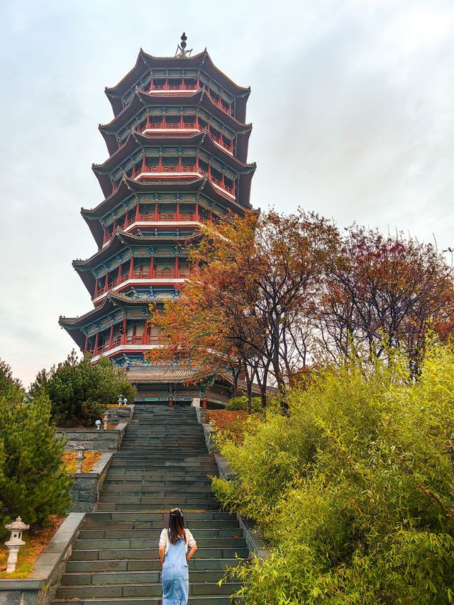 太哇塞了吧青島這個濕地公園藏著一家寺廟