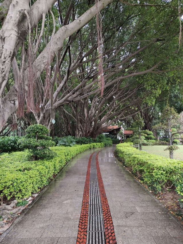 泉州西湖公園(上)