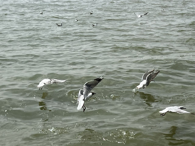 海堤公園