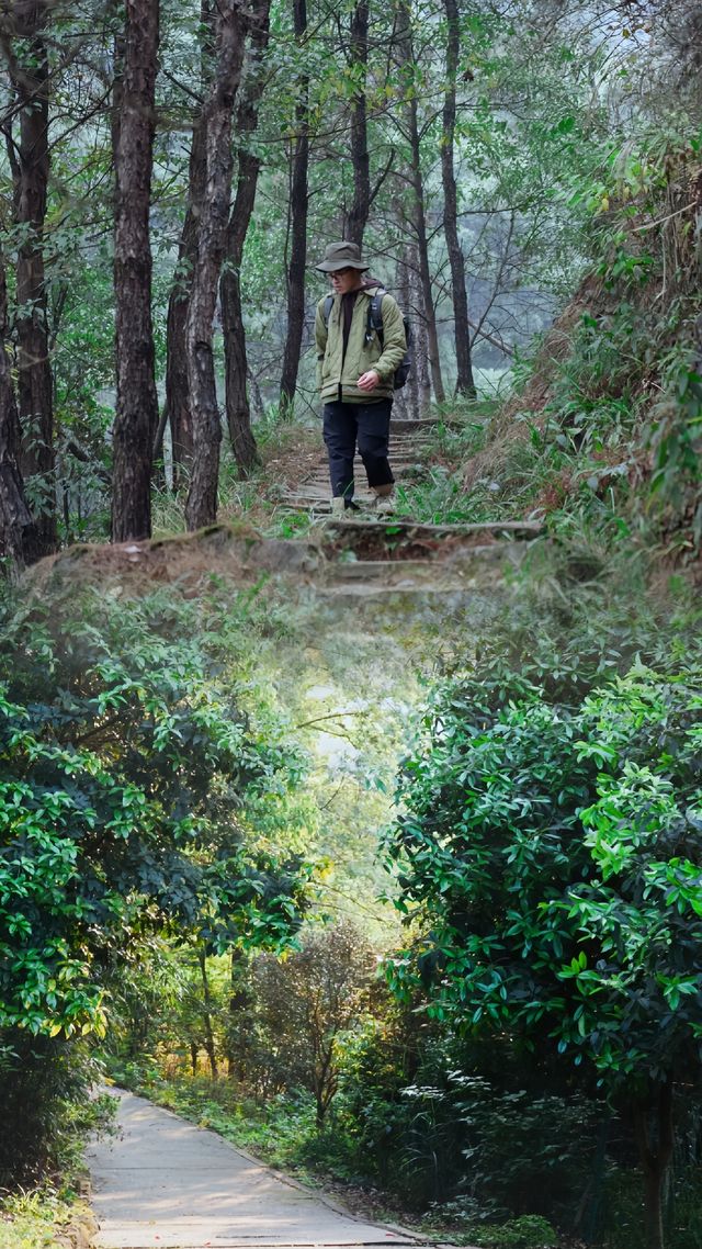 重慶6條春日寶藏徒步線路‖春遊正當時～