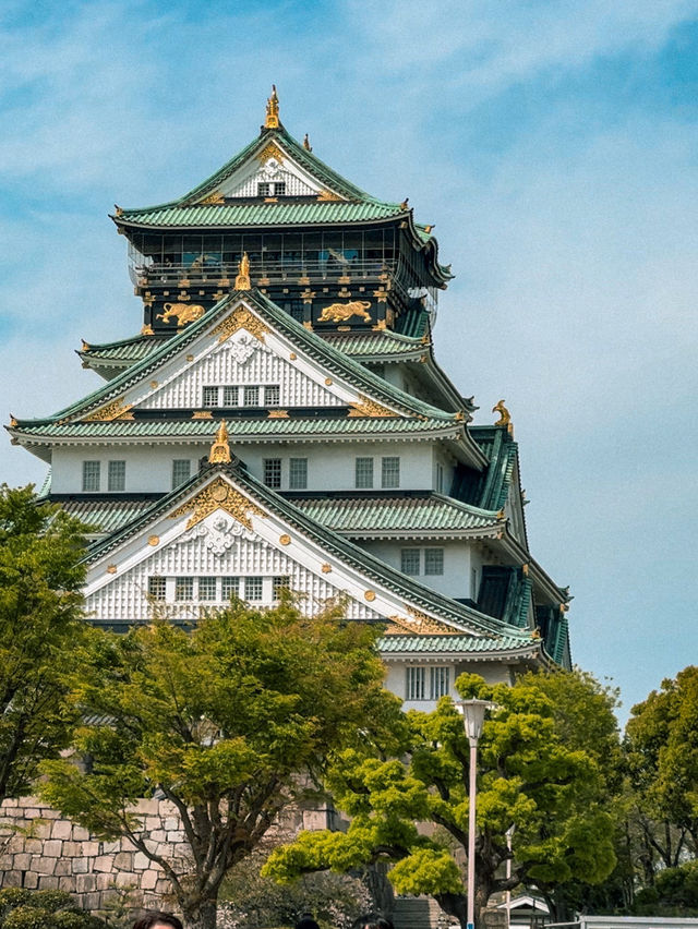 Osaka Castle is Breathtakingly Beautiful 🏯🇯🇵