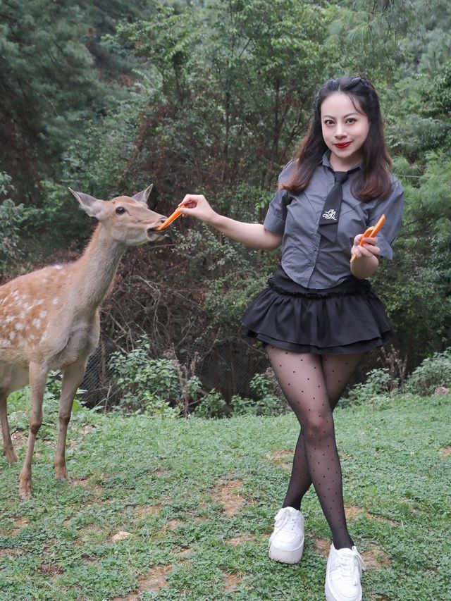 在雲南野生動物園拍到人生照片，真的不是非洲